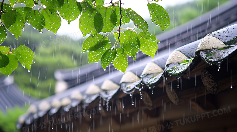 春季雨中的建筑屋檐图片