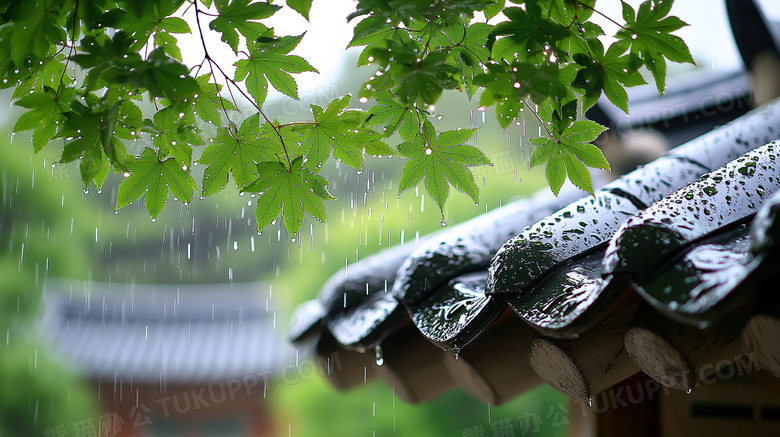 春季雨中的建筑屋檐图片