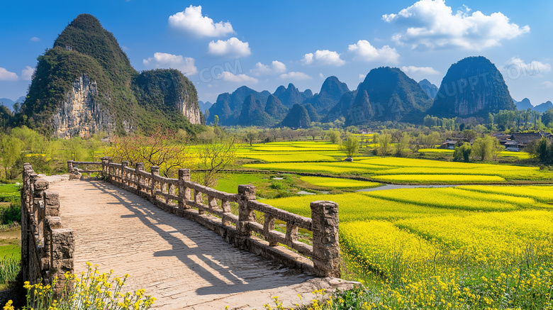 春季春日盛开的油菜花花海全景图片