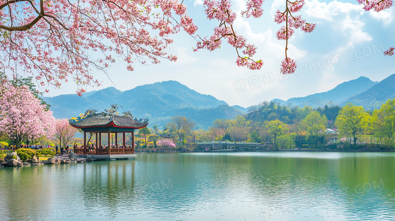 樱花局部场景图片