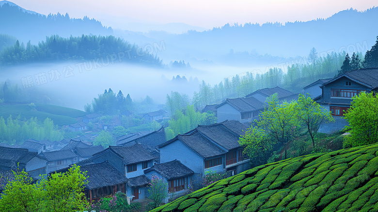 晨雾中的乡村美景图片