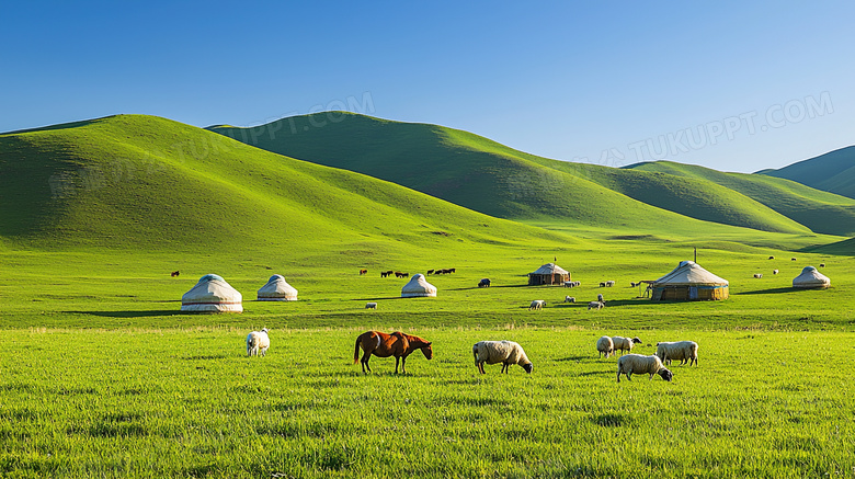 辽阔草原蒙古包成群羊马风景图片