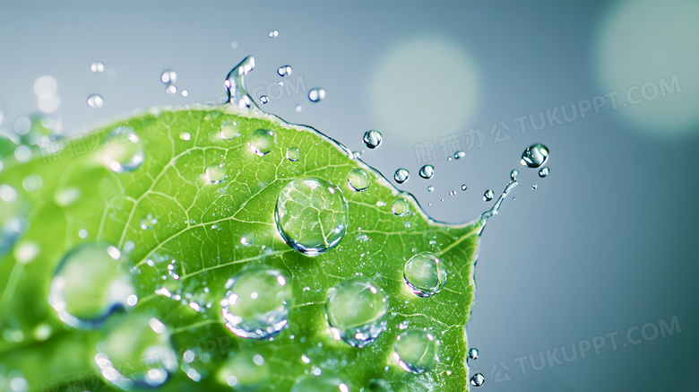 水节约用水水滴小水珠图片