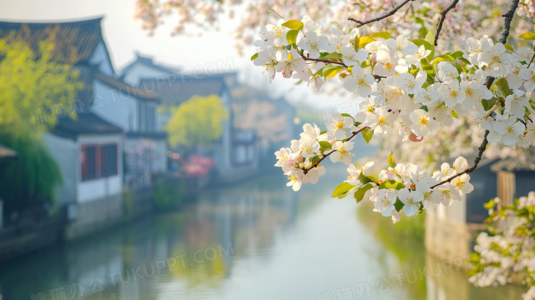 春天古镇梨花盛开场景图片