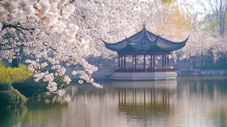 春天古镇梨花盛开场景图片