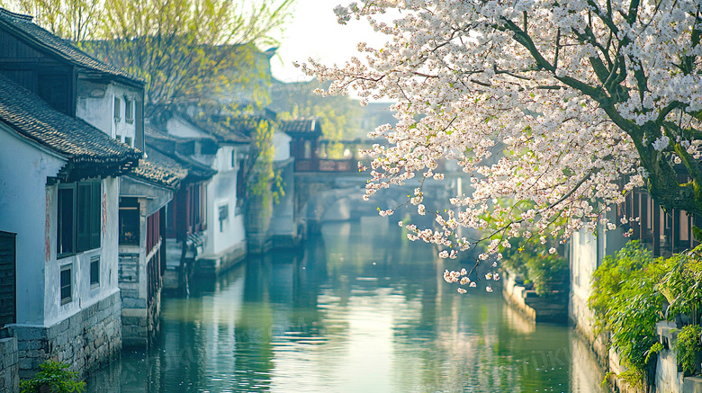 春天古镇梨花盛开场景图片