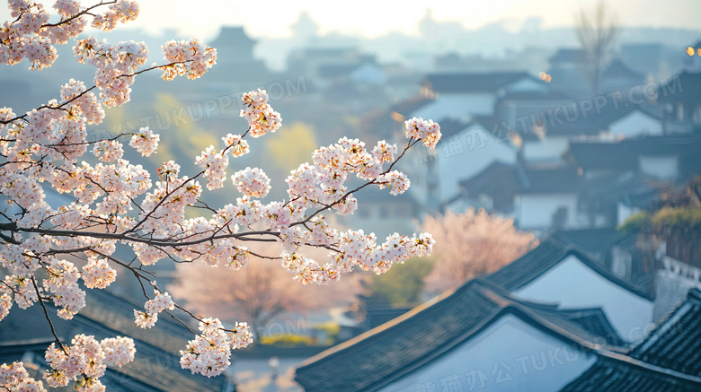 春天古镇梨花盛开场景图片