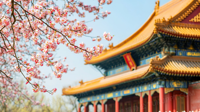 春天故宫桃花盛开风景图片