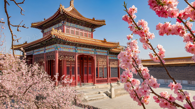 春天故宫桃花盛开风景图片