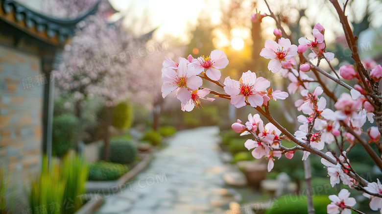 春天园林桃花盛开风景图片