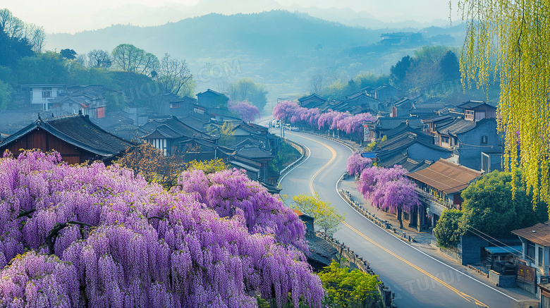 紫藤花盛开有没风景图片