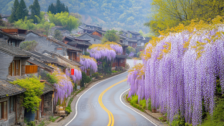 紫藤花盛开有没风景图片