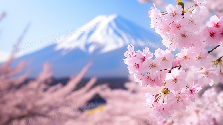 日本富士山樱花风景图片