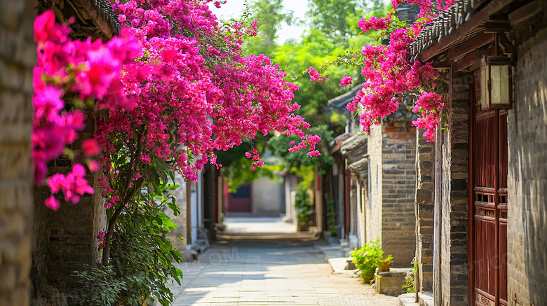 三角梅盛开唯美场景图片