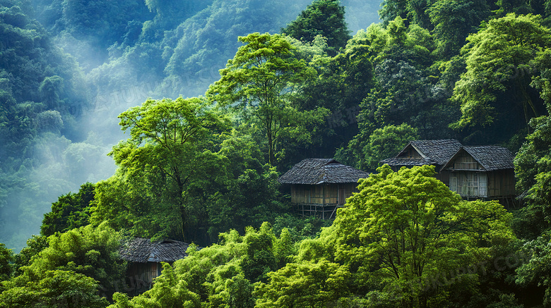 山村民房与茂密森林场景图片