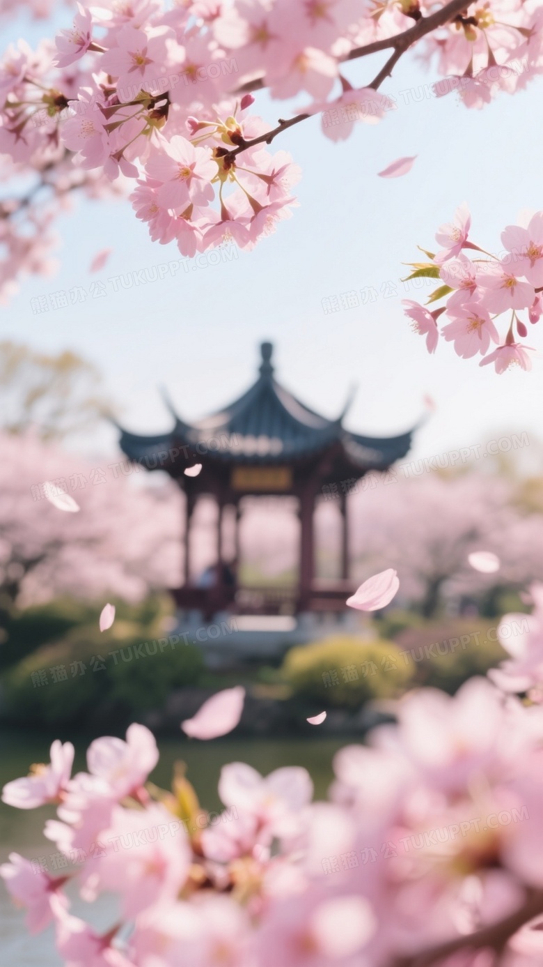春日樱花高清摄影图阳光洒在粉嫩樱花上