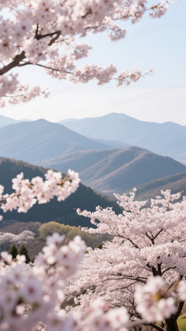 春天好看樱花的高清摄影图