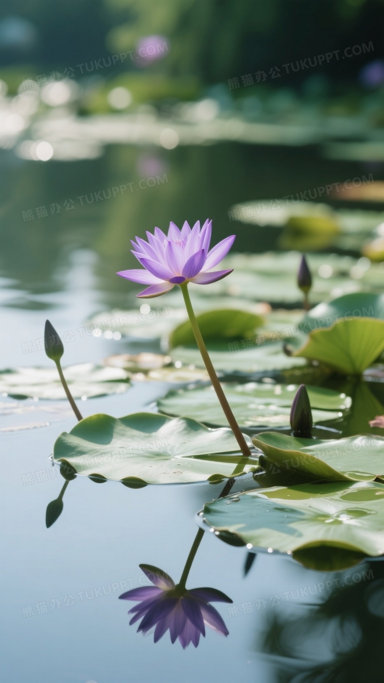 高清摄影记录的夏日美景