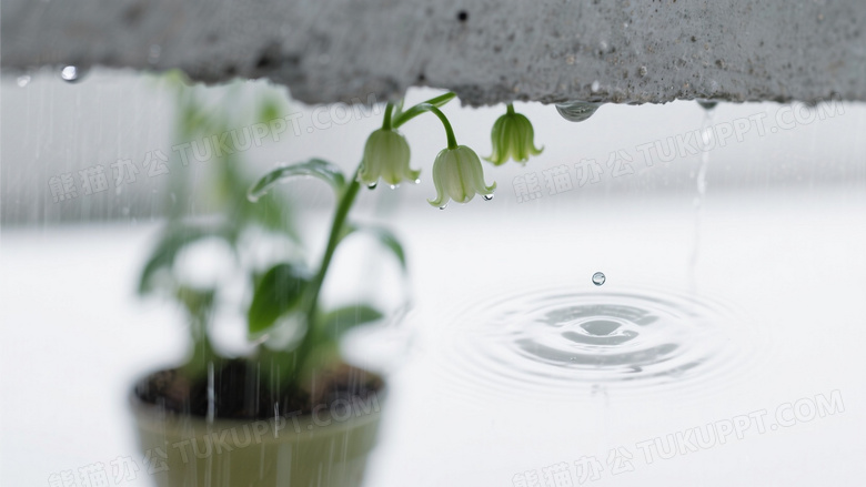 极简构图雨景混凝土平檐边缘悬挂铜铃兰盆栽