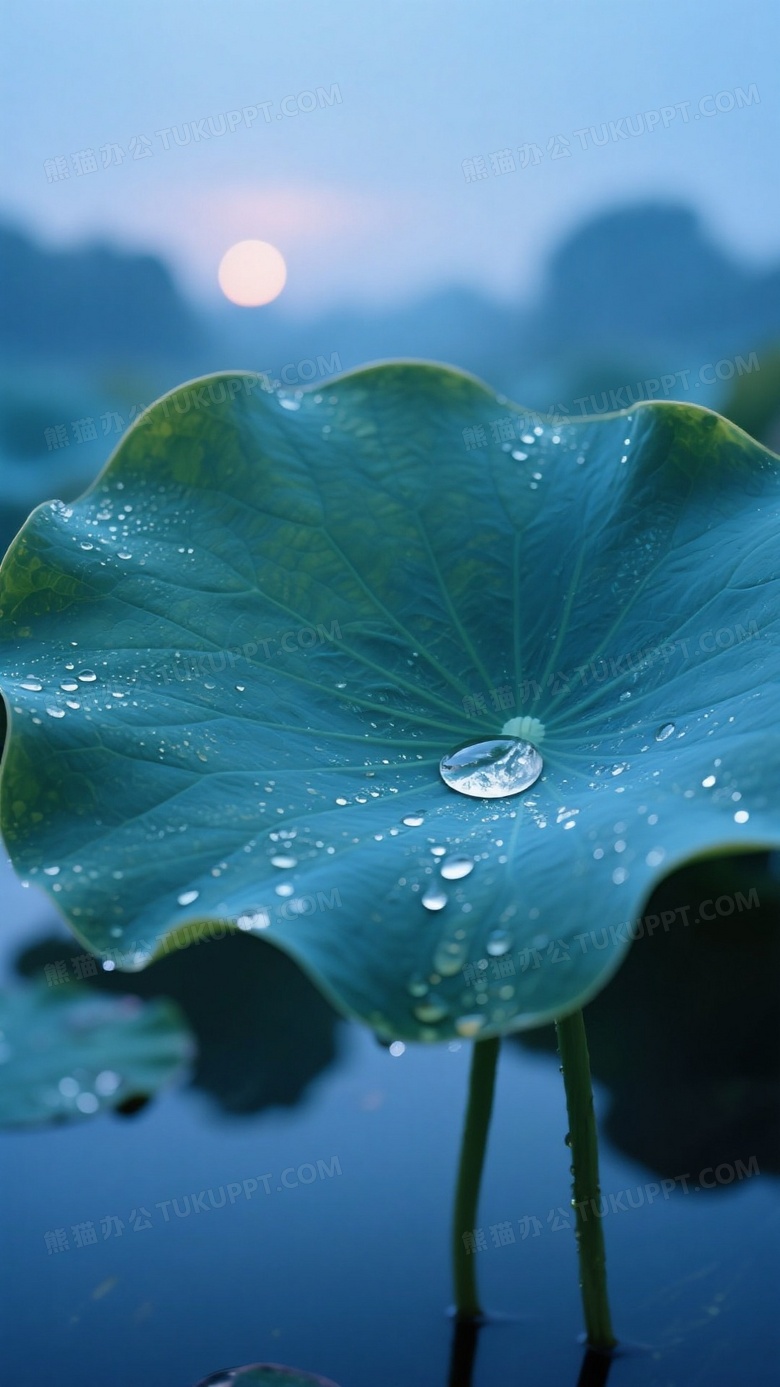 冷色调荷塘黎明摄影5