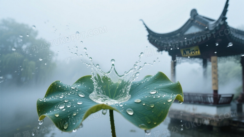 动态露珠滑落瞬间抓拍