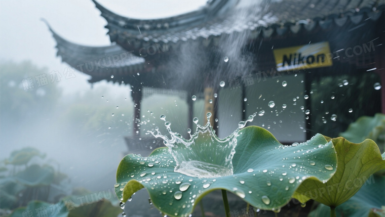 动态露珠滑落瞬间抓拍