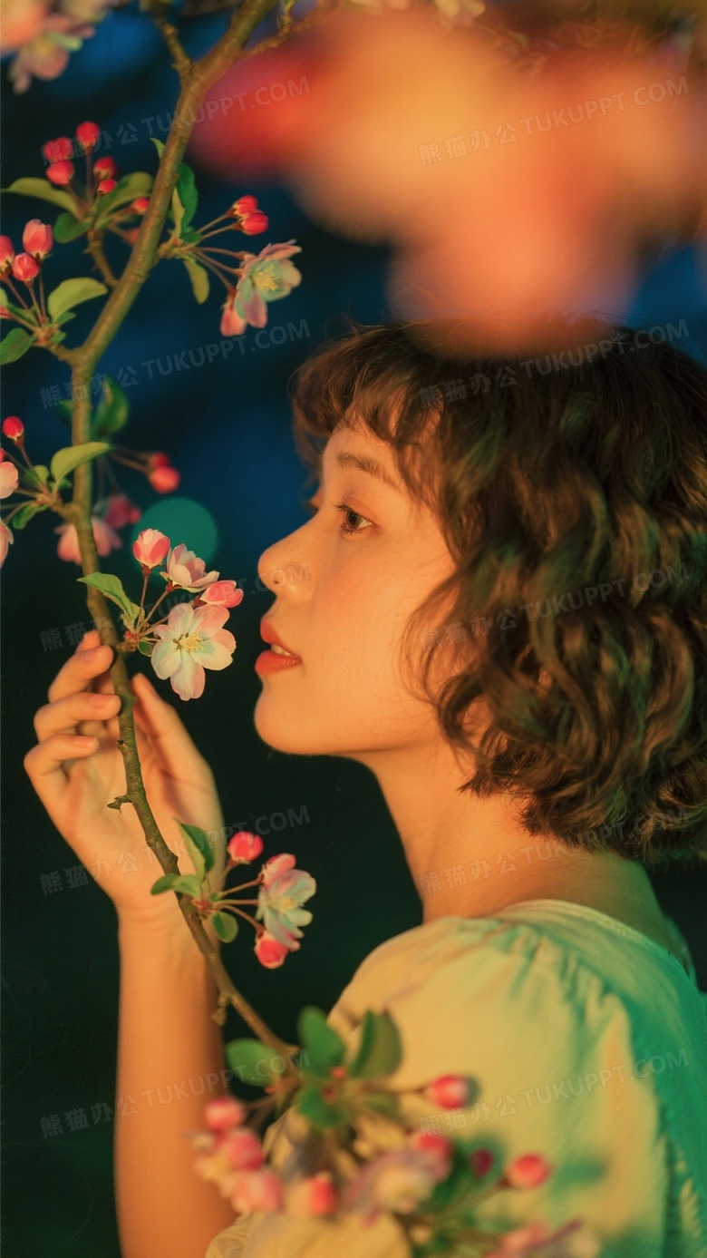 凌晨四点我看见海棠花未眠