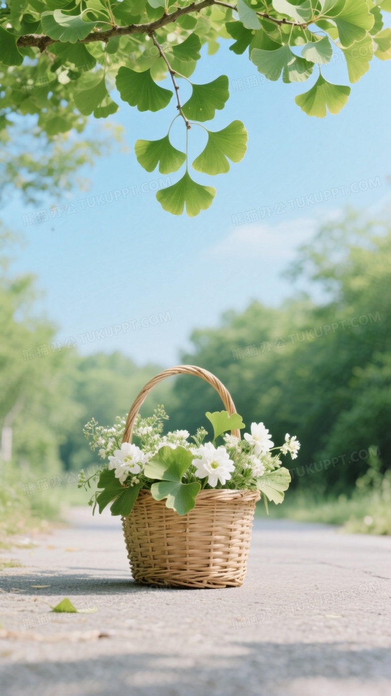 画面呈现清新自然的户外场景