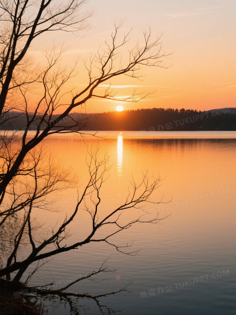 黄昏时分光秃的树枝勾勒出岁月的轮廓