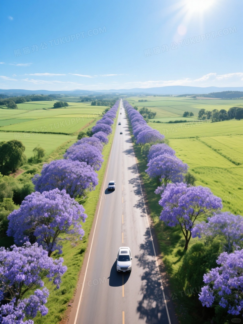 超现实主义高清摄影完美构图