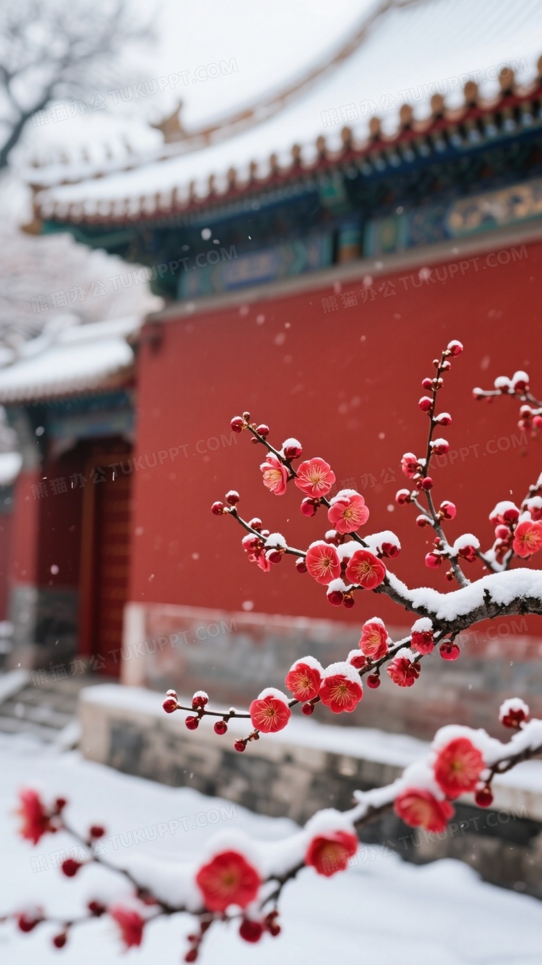 红墙古建筑红色杏花雪景