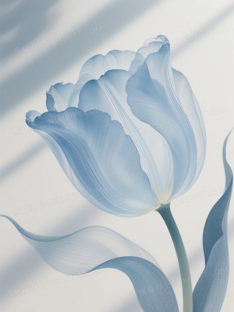 浅色背景微距特写超现实主义