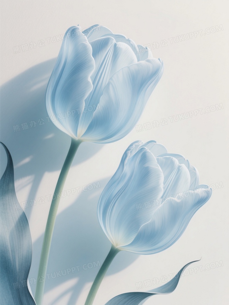 浅色背景微距特写超现实主义