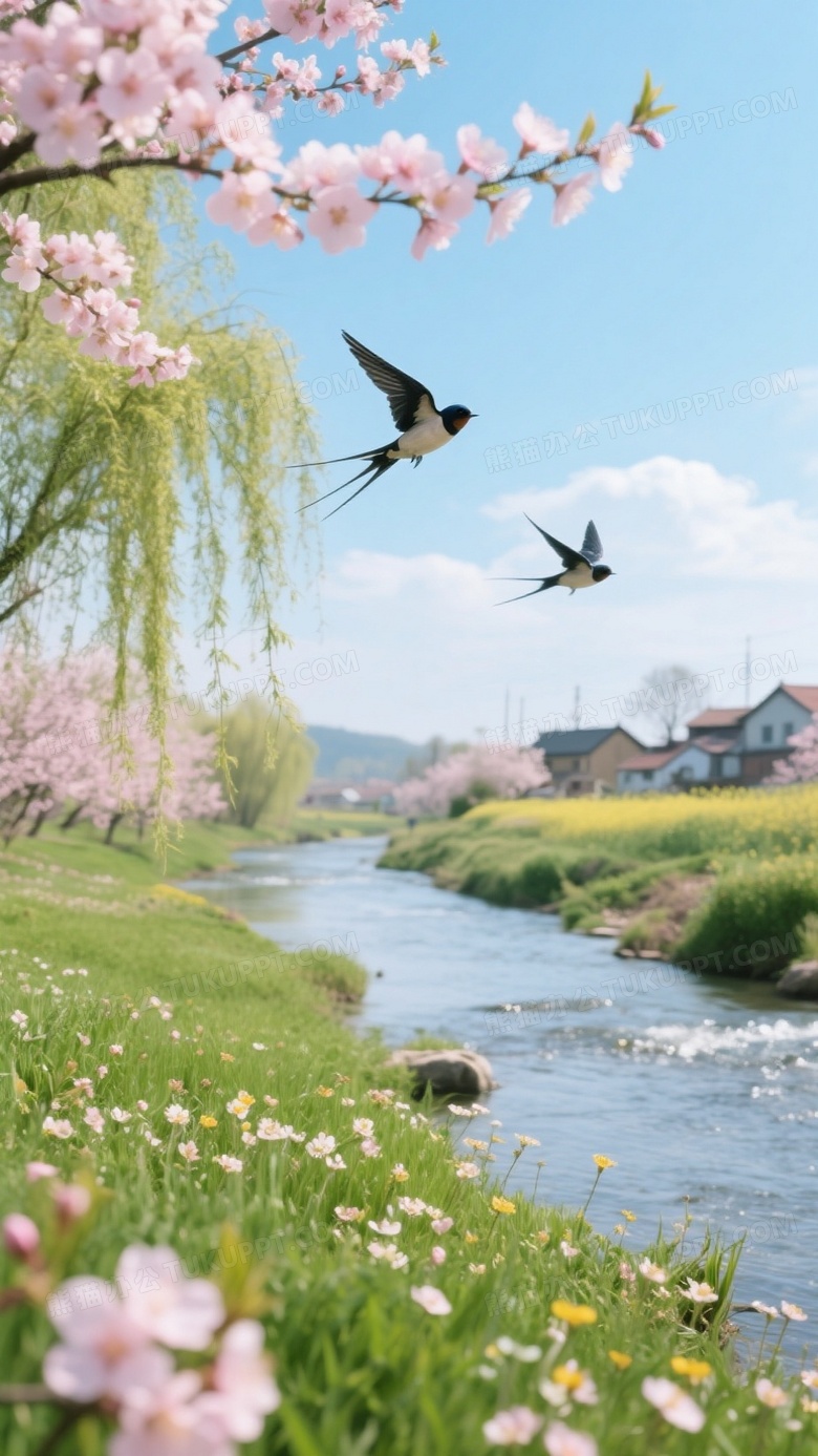电影摄影春暖花开又一春