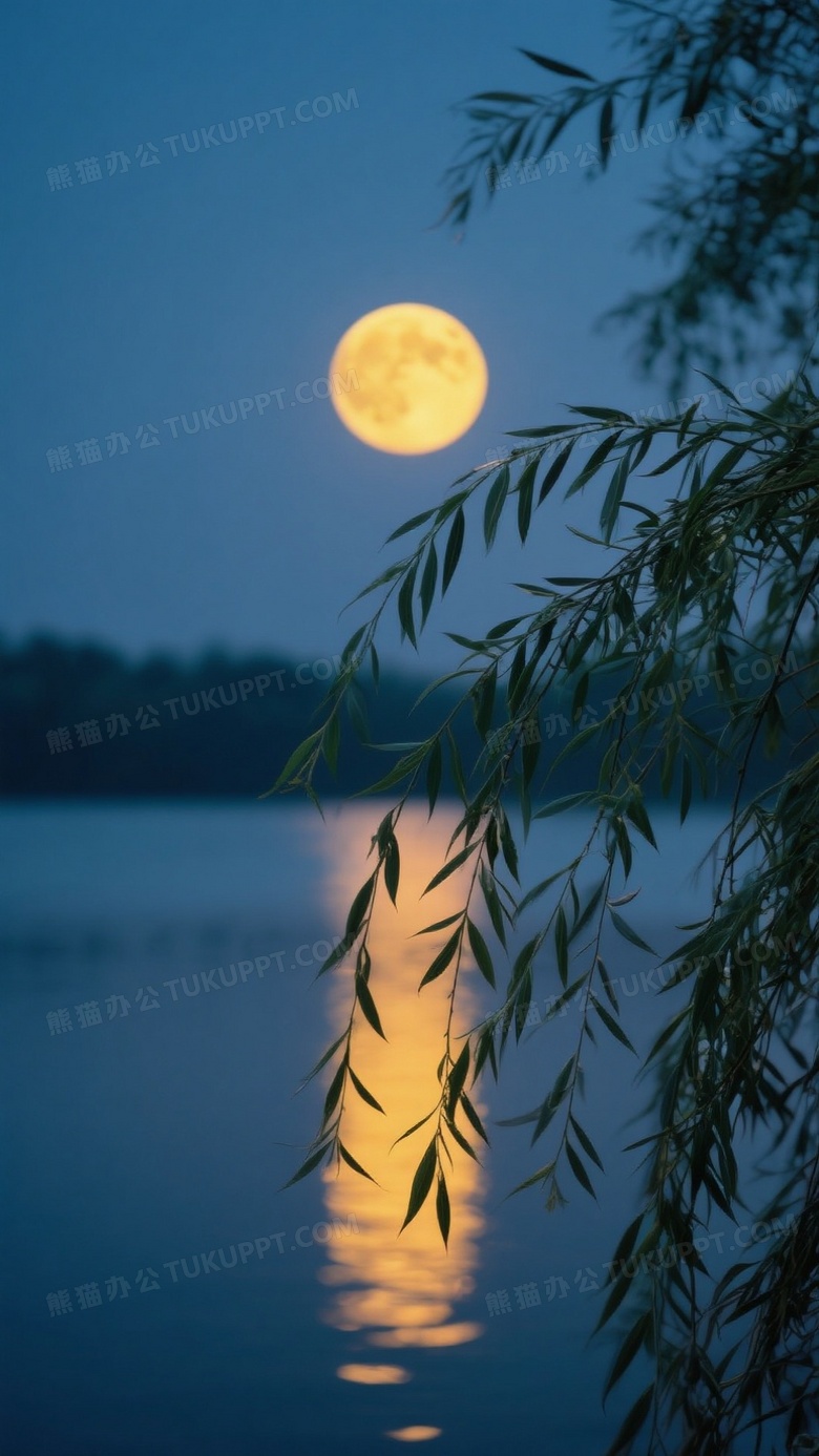 宁静的夜晚前景柳条清晰