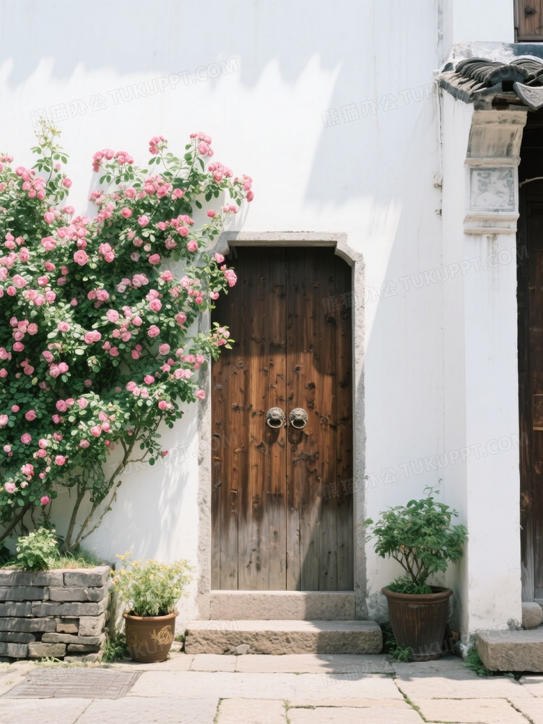 白墙古朴木门蔷薇花墙
