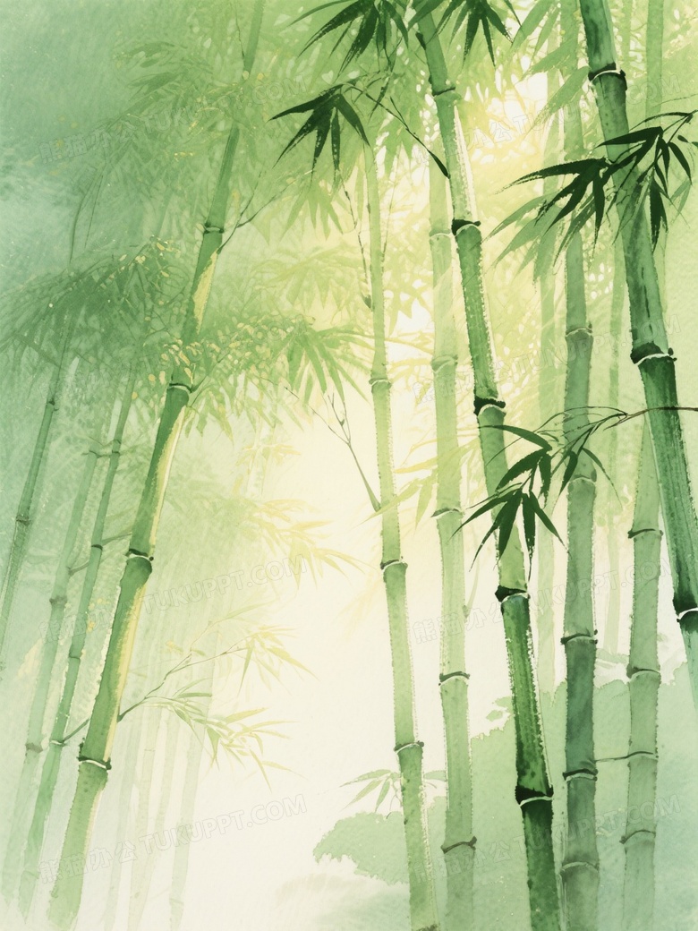 竹林绿色有暖色光线疏淡