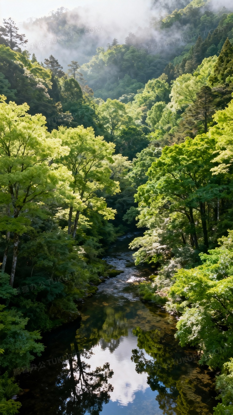 最美的绿色风景