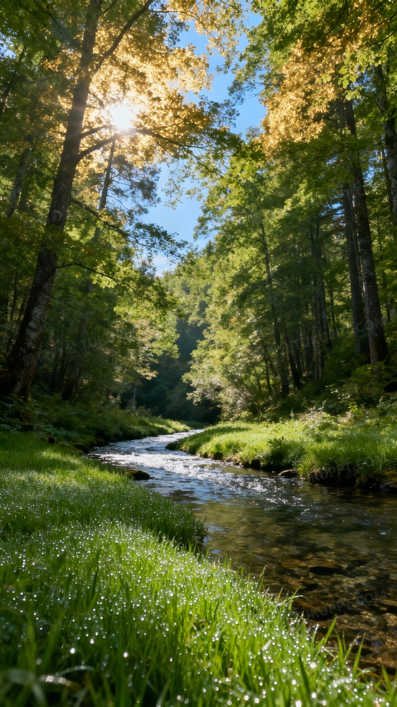 最美的绿色风景