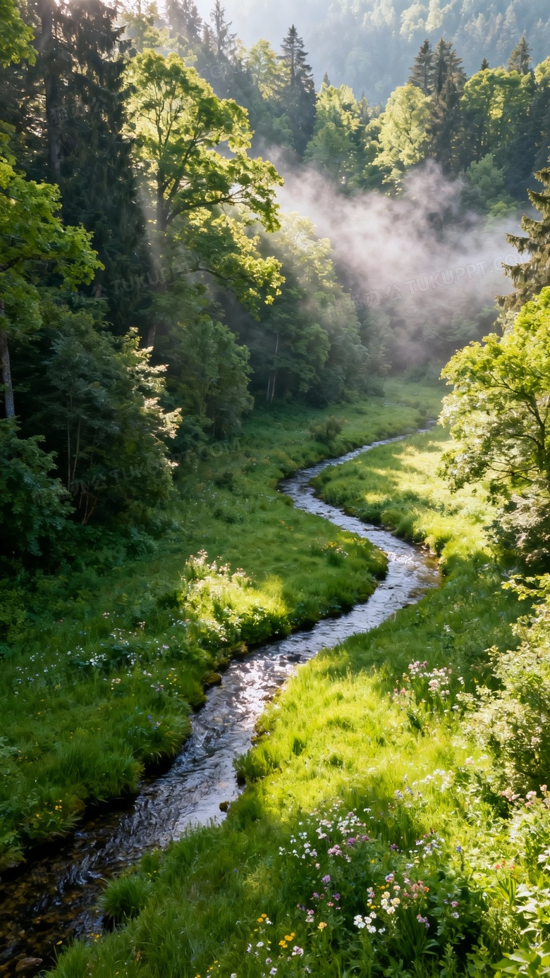 最美的绿色风景