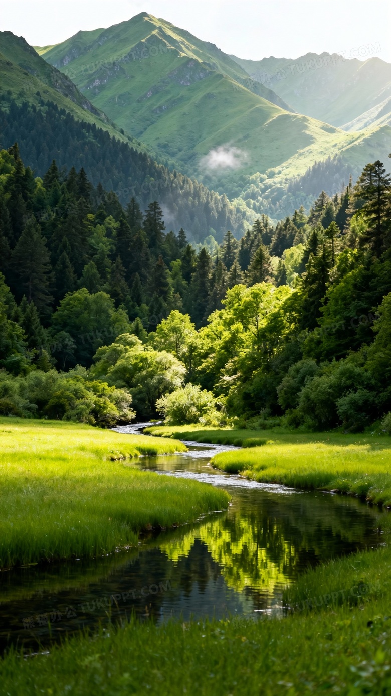 最美的绿色风景