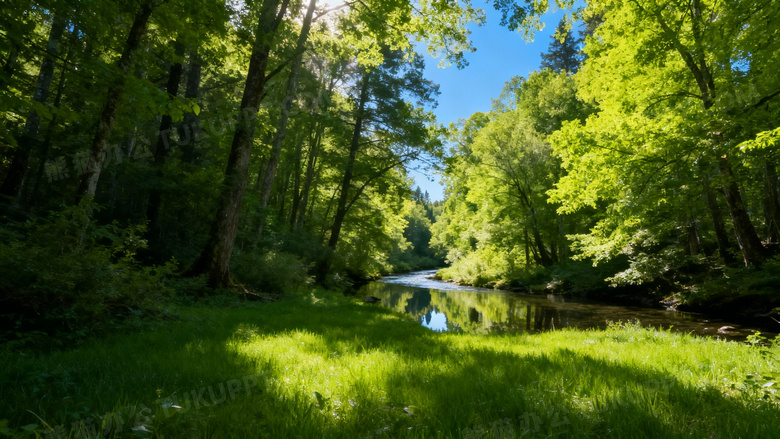 最美的绿色风景