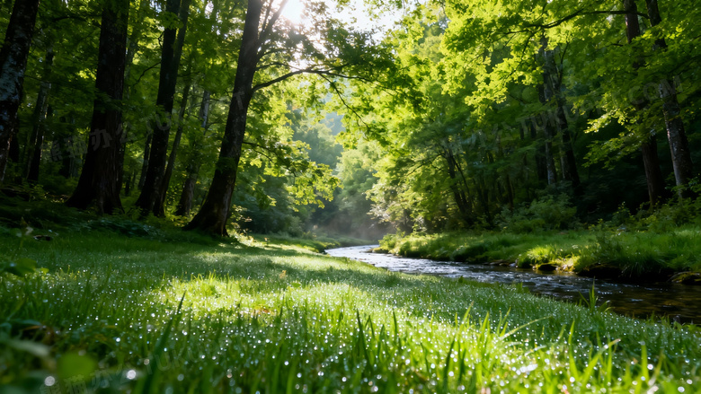 最美的绿色风景