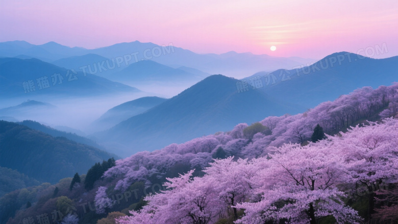 粉紫樱花山脊日出风光图片