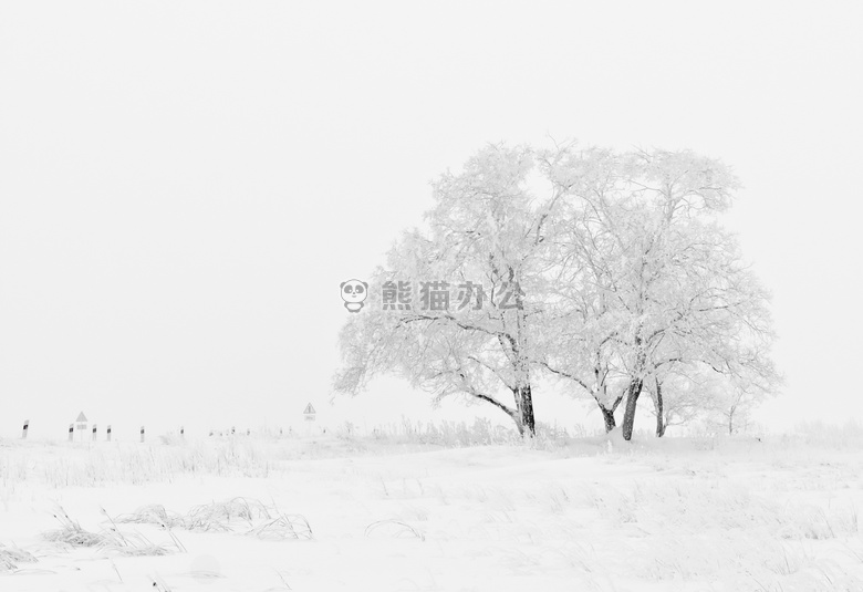 冬天雪地树木图片