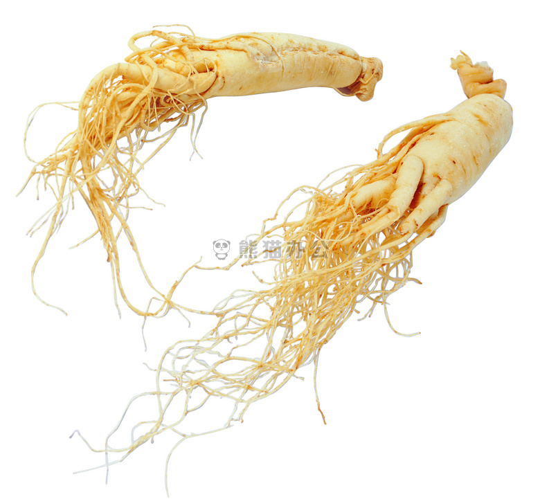 人参图片