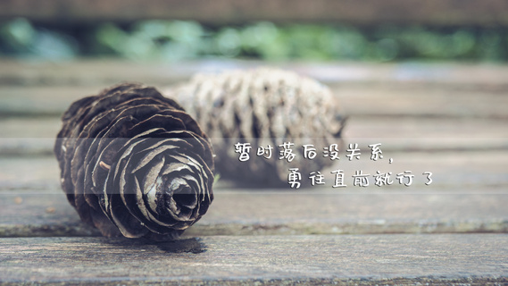 励志生活文字图片