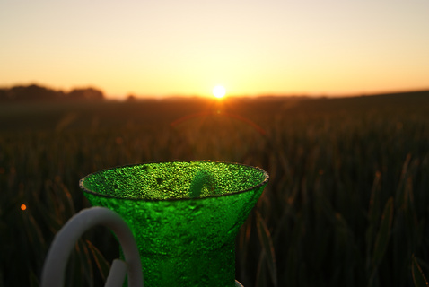 早晨明媚太阳图片