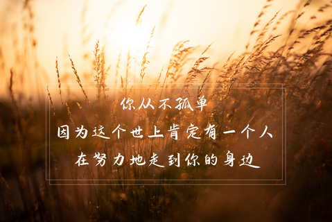 心情摄影图片免费下载_精品心情摄影图素材大全_熊猫办公