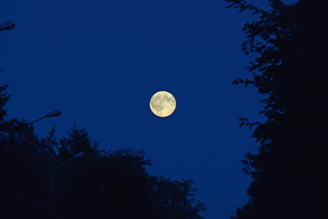 八月十七的月亮图片图片